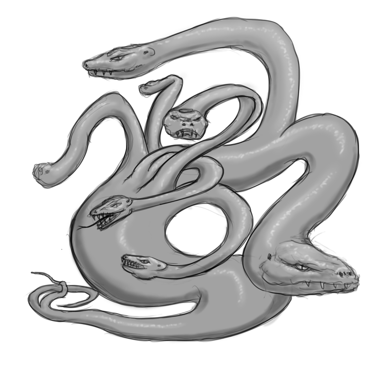 Hydra / Hydras