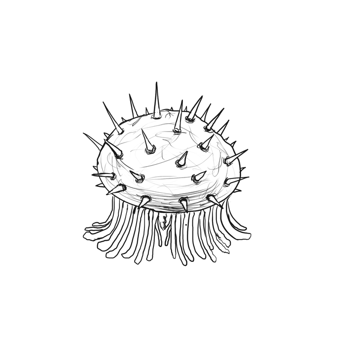 Spikenode / Spikenodes
