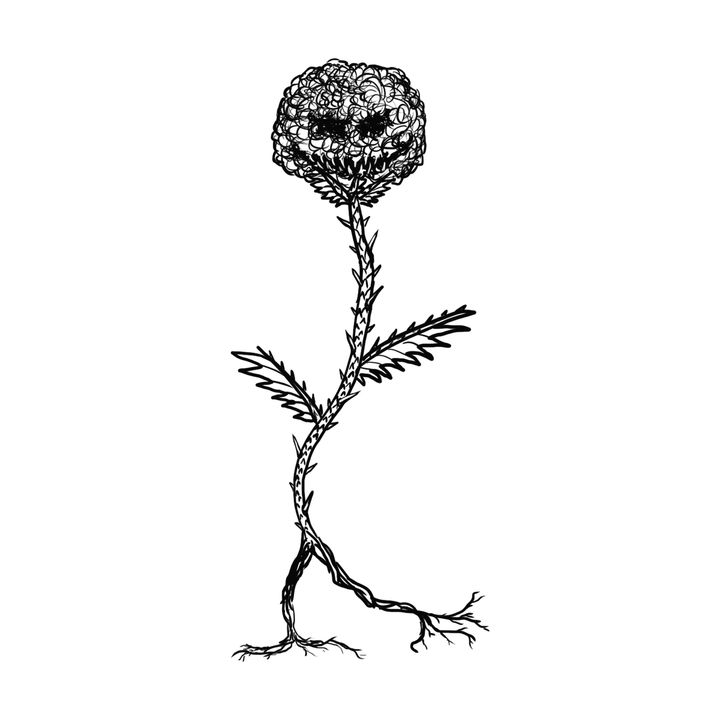Thistlemaw / Thistlemaws